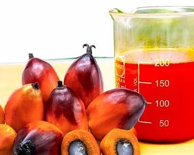 Crude Palm Oil